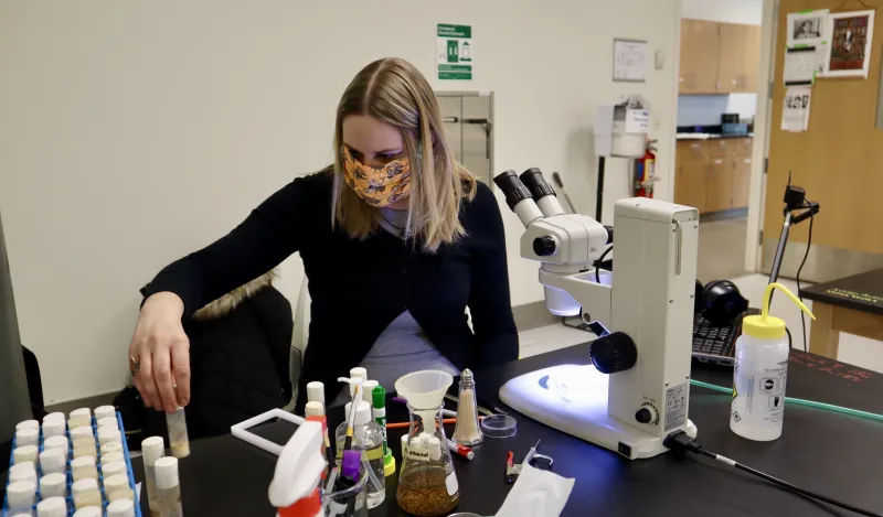 nursing student Melissa Sawyer working with vials in an NHCC lab