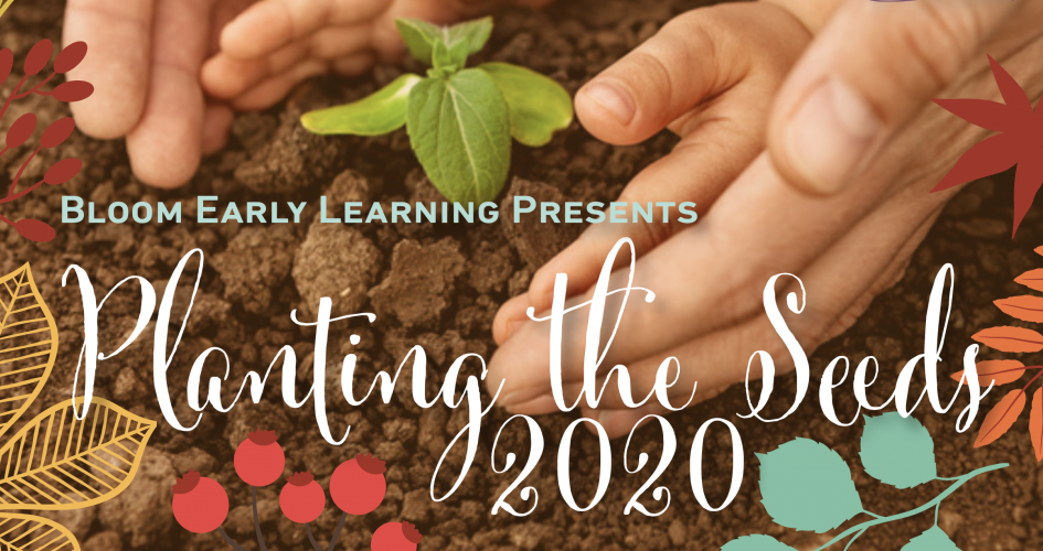 close up of an adults hands guiding a childes hands to pick up a seedling. bloom early learning presents, planting the seeds 2020 