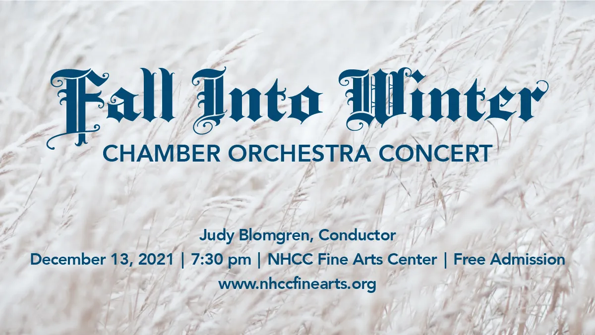 Chamber Orch 21 Arts Page Banner