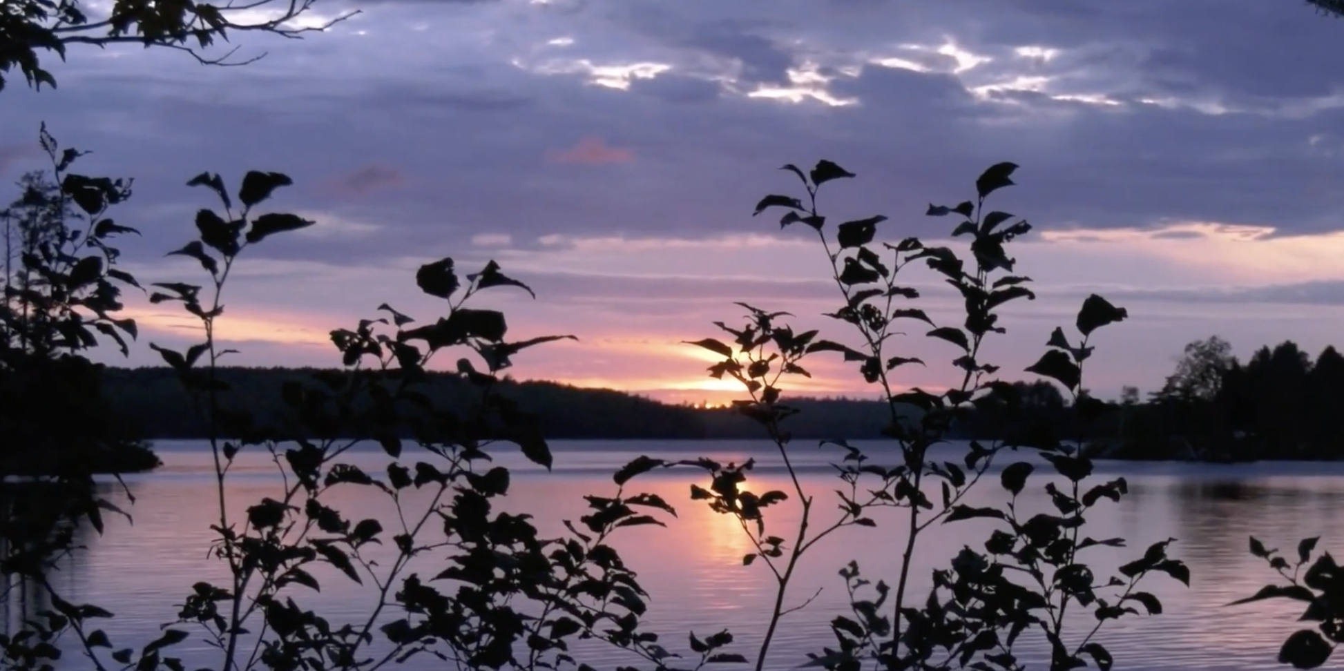 photo of a pink and purple sunrise, over water, through trees