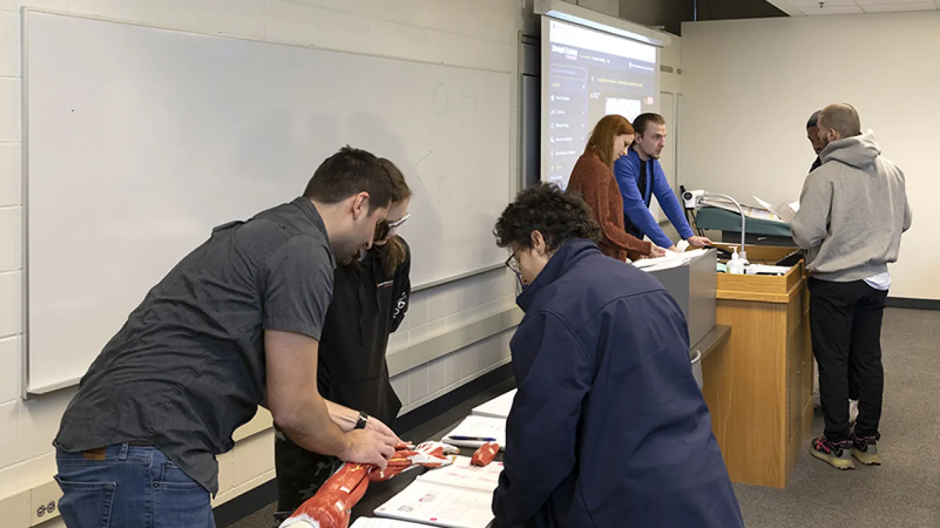 instructor showing students something an anatomical arm