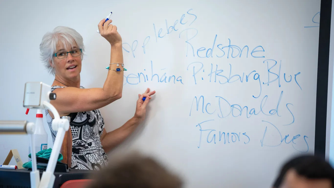 instructor speaking near a white board 