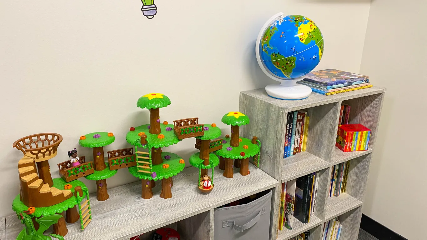 toys and books on selves
