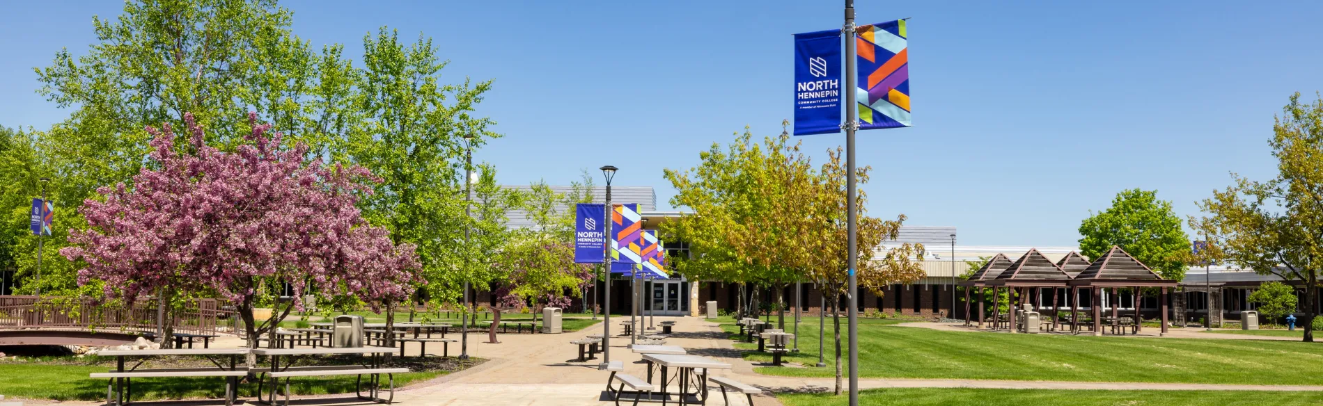 campus buildings and trees on a sunny day