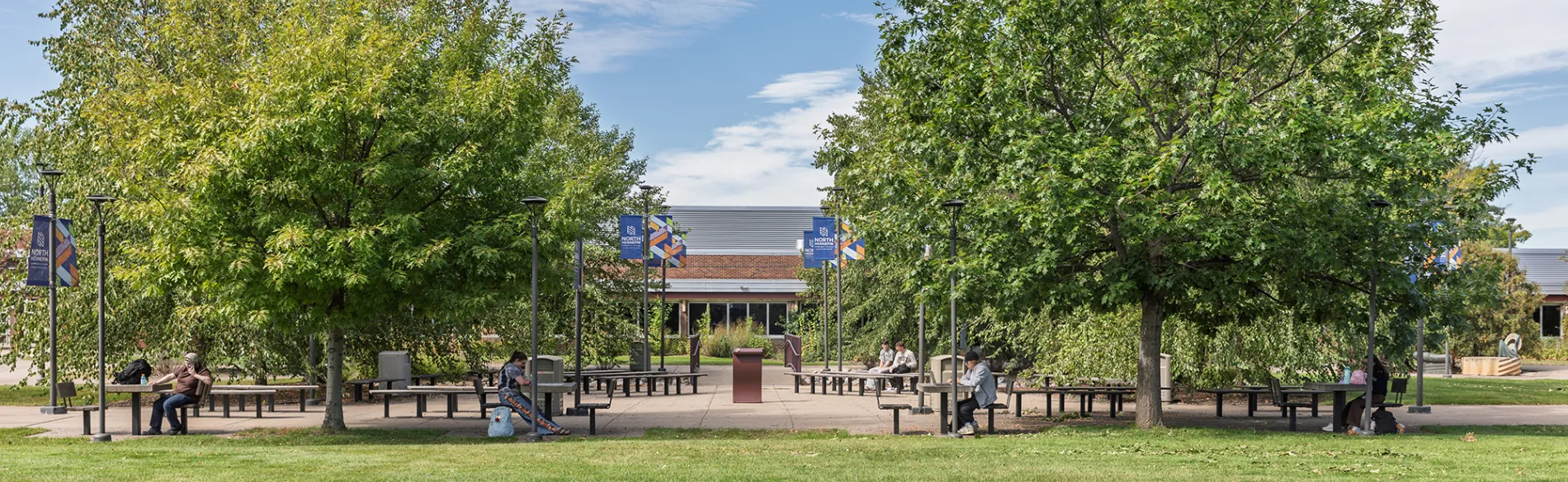 two large trees with tables underneath and students sitting at the tables and a building in the background. 