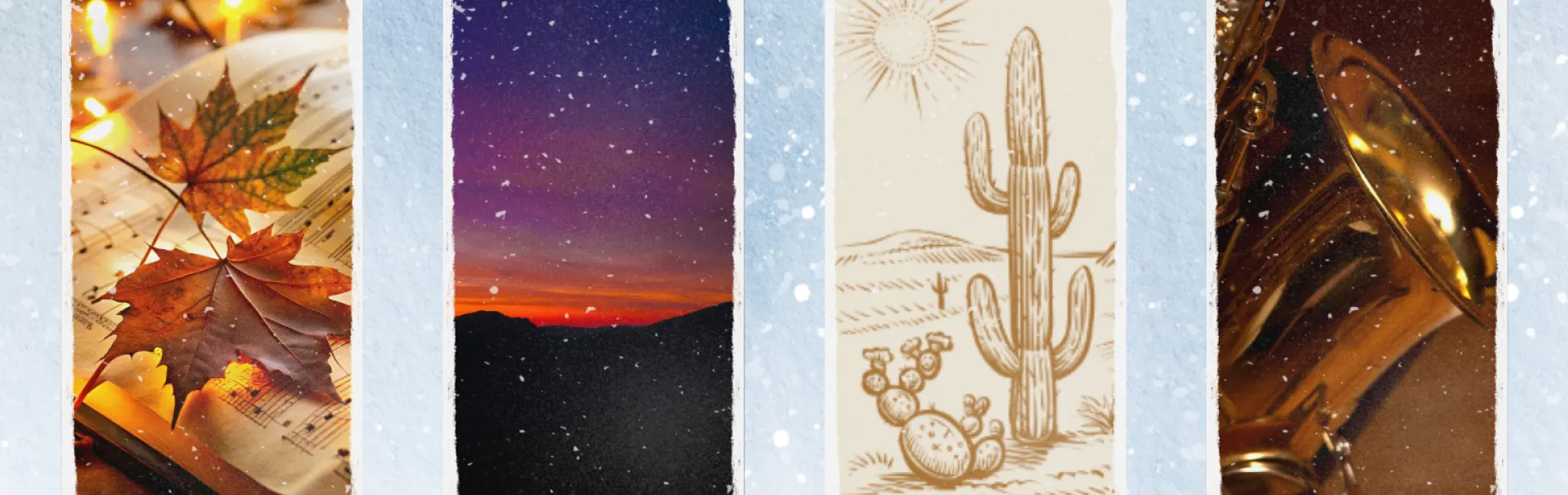 images of the seasons, winter, fall, summer and spring 