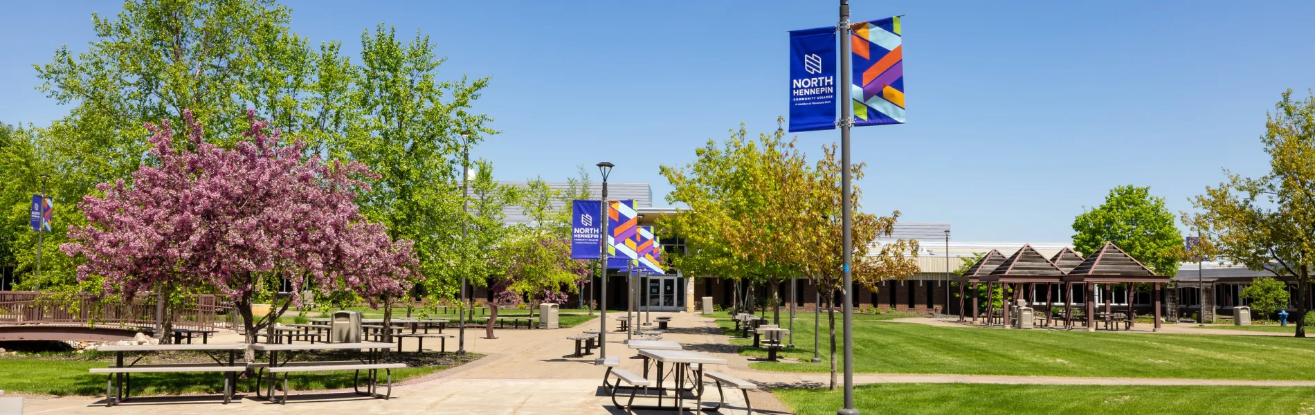 campus courtyard on a sunny day with trees with green leaves and pink flowers. 