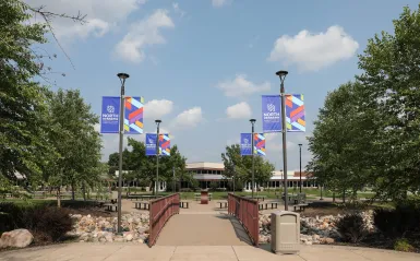 campus buildings and trees on a sunny day