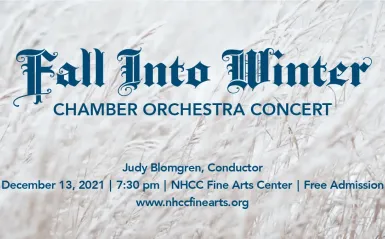 Chamber Orch 21 Arts Page Banner