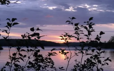 photo of a pink and purple sunrise, over water, through trees