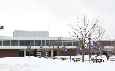 buildings and trees with snow