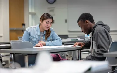 students studying in the classroom 