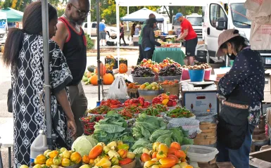 a photo from the 2022 Brooklyn Park Farmers Market