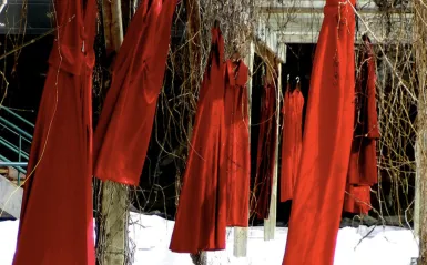 this is a photo of four red dresses hanging from a tree with snow on the ground. 