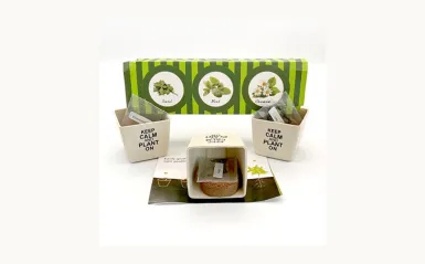 this is a photo of three plastic mini planters, with seeds that students can use to make their own herb garden. 