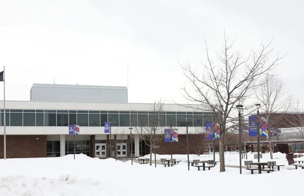 buildings and trees with snow