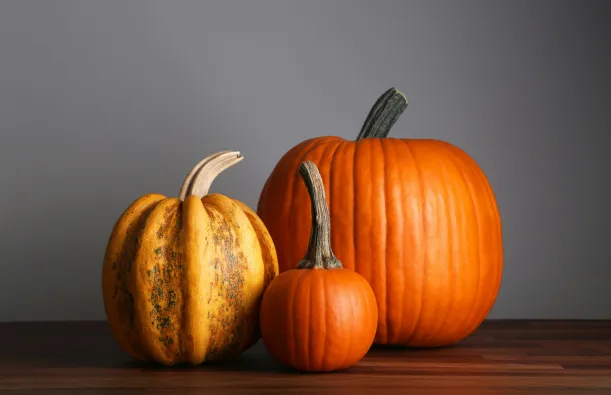 this is a photo of three differently sized orange pumpkins next to each other on a table. 