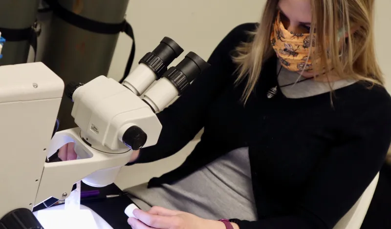 nursing student Melissa Sawyer sitting down at a microscope 