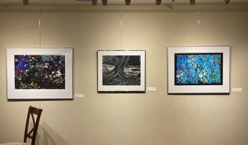 another photo of art in a gallery 