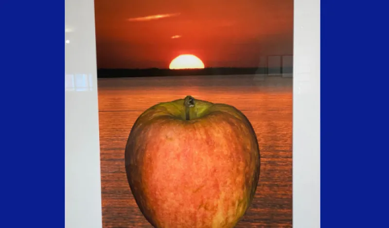 apple art work 