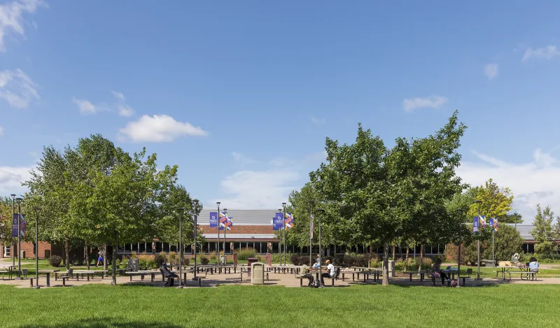students sitting outside on a sunny day