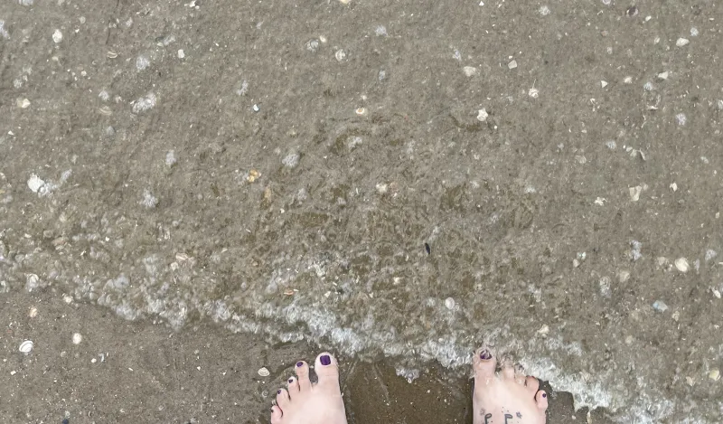 a photo of trio students toes in ocean 