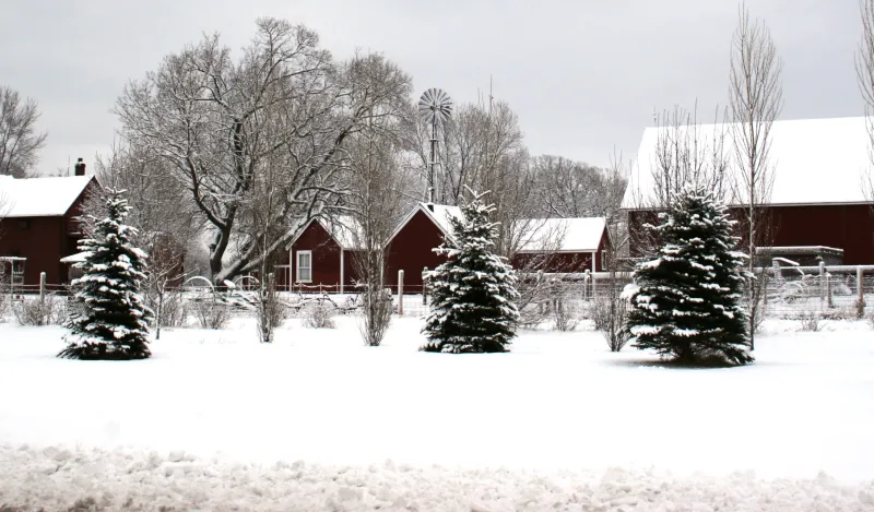 A photo of a winter scene in Brooklyn Park