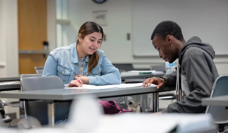 students studying in the classroom