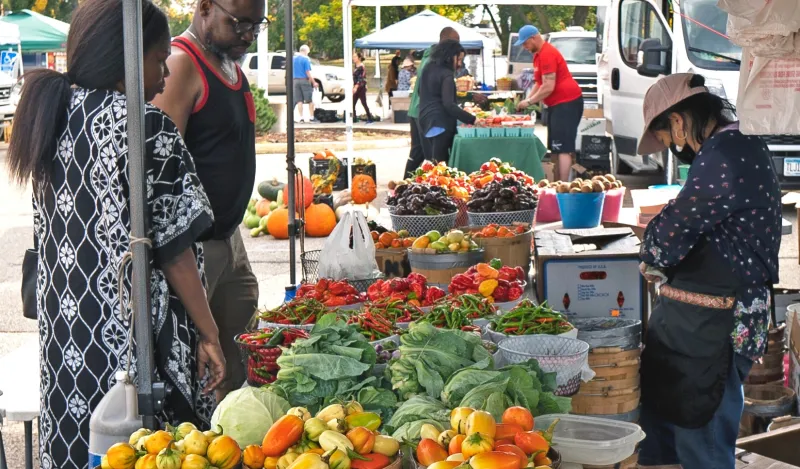 a photo from the 2022 Brooklyn Park Farmers Market
