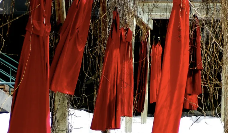 this is a photo of four red dresses hanging from a tree with snow on the ground. 