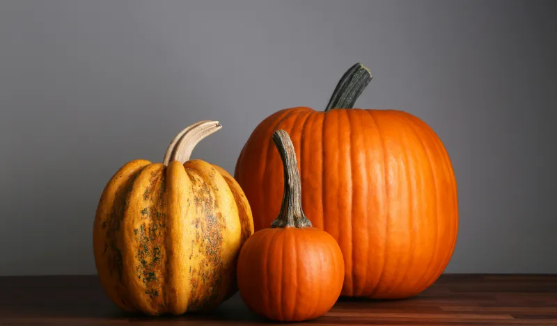 this is a photo of three differently sized orange pumpkins next to each other on a table. 