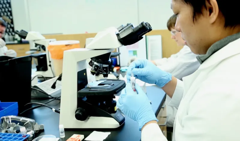 students looking at microscopes in a lab 