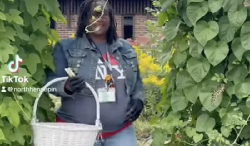 this is a video tour of the NHCC Community Garden 