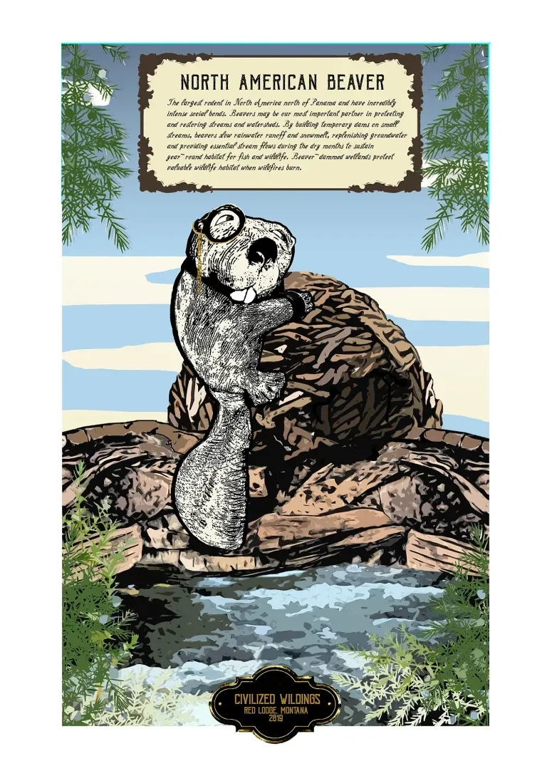 poster titled name north american beaver showing a beaver, seal hybrid breaking out of a wood pile