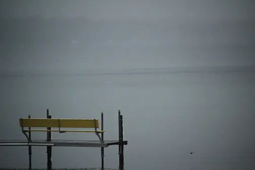 a black and white photo of a bench 