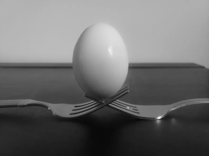 student egg photo