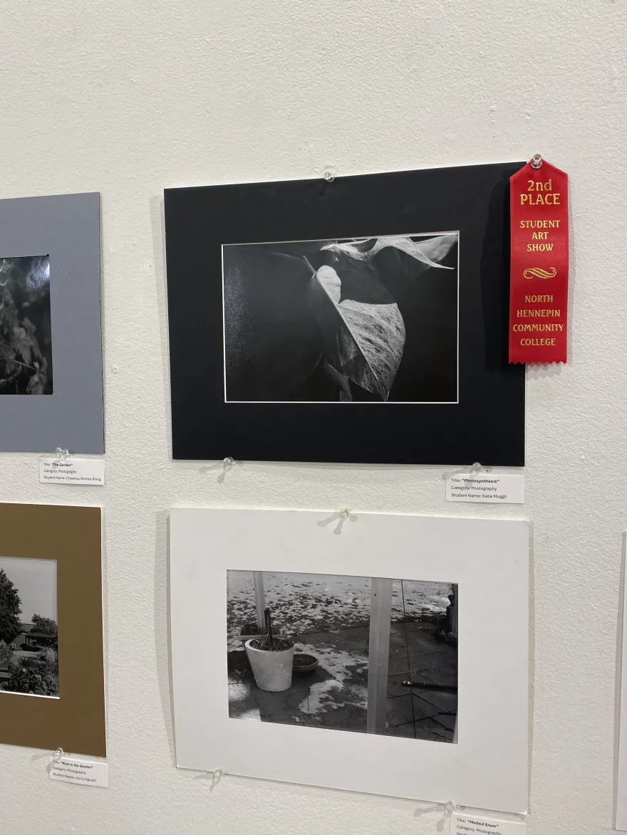 This is a photo of a photographic piece that received a second-place award at the NHCC Student Art Show, titled, “Photosynthesis.” 