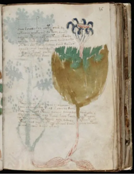 brown image of writing that's not readable and image of a cup with a tree growing out of it 