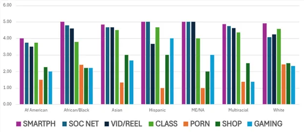 Graph showing the types of internet use by race. 