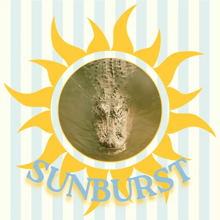 this is a decorative cover of an alligator emerging from the water framed by the sun's rays.